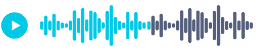 Ferkomedia 3 audio 2 FerkoMedia Video marketing